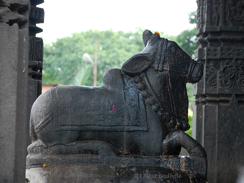 nandi